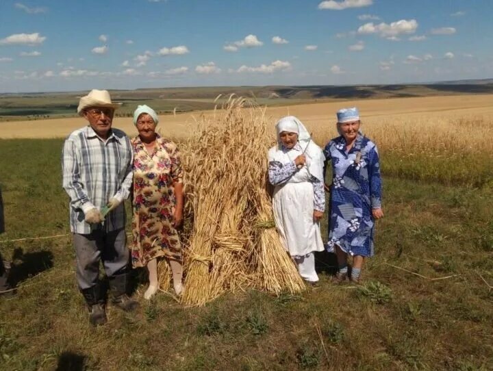 Погода на неделю старые шалты. Новые шалты. Погода на неделю старые шалты. Погода на неделю старые шалты. Погода на неделю старые шалты.