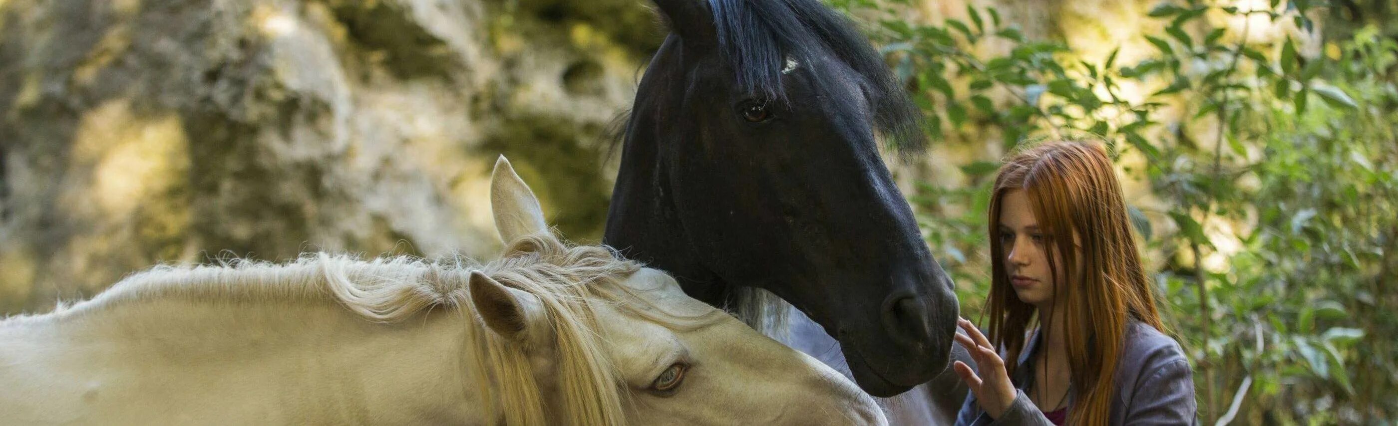 Дикие сердцем фильм. Дикие сердца фильм про лошадей. Дикое сердце про лошадей. Восточный ветер 3: наследие оры фильм 2017. Мустанг фильм 2015.