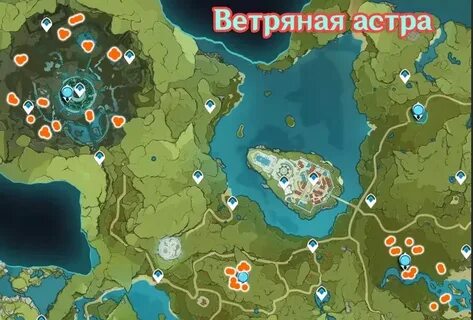 Ветреные астры геншин импакт