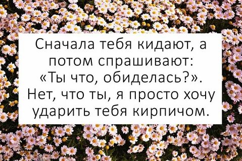 Лучшие друзья бросили