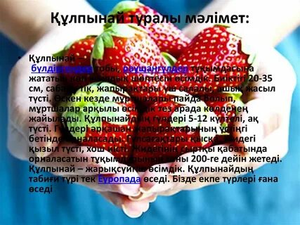 Жігіт мені ұрды