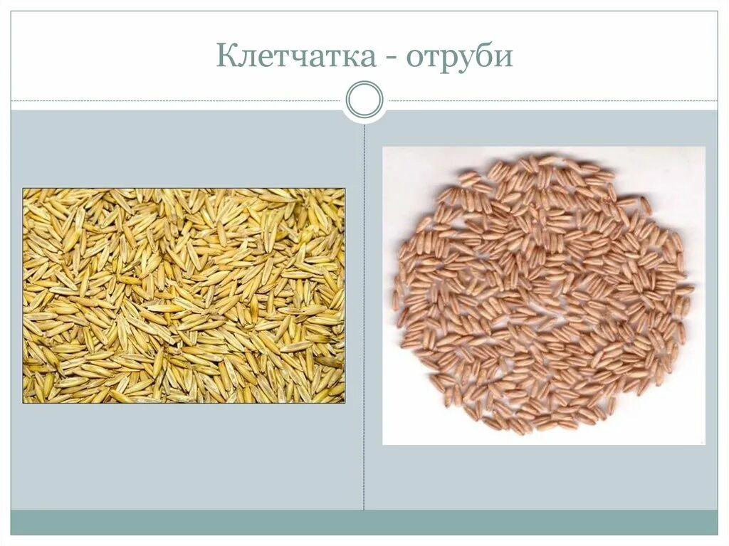 Отруби клетчатка содержание. Отруби клетчатка. отруби или клетчатка. отруби и клетчатка в чем. клетчатка в виде отрубей.