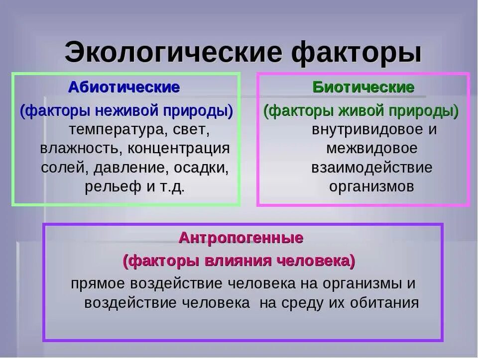 Распредели по группам положительные отрицательные. Экологические факторы абиотические биотические антропогенные. Факторы среды абиотические биотические антропогенные. Абиотические и биотические факторы. Биотические и абиотические факторы среды.