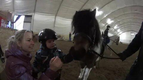 Кони пони клуб