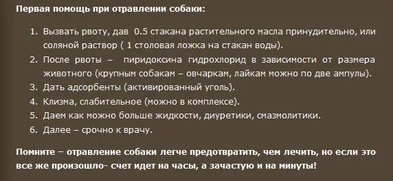 Первая помощь при отравлении собаки. Вызвать рвоту при отравлении. Первая помощь щенку при отравлении. Рвота при отравлении у собаки.