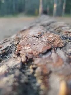 Подслушано 67 69км