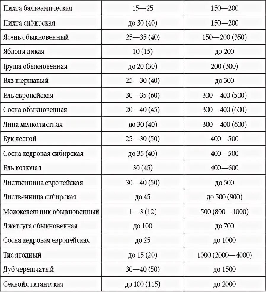 Продолжительность деревьев дуб. Продолжительность жизни деревьев таблица. срок жизни деревьев таблица. продолжительность жизни различных деревьев. берёза продолжительность жизни дерева 1 класс.