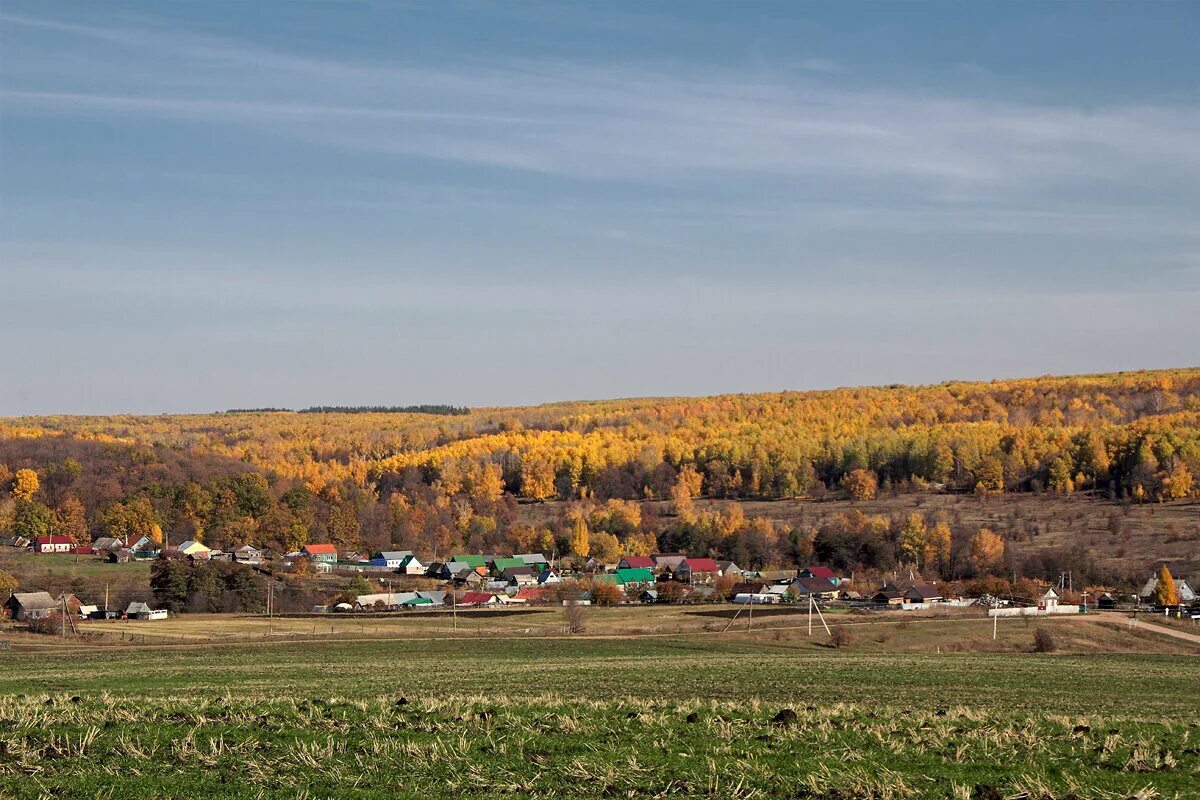 Снт земледелец одинцовский район. Дача с. Участок в снт земледелец. Снт земледелец звенигород. Снт земледелец каширский р-н.