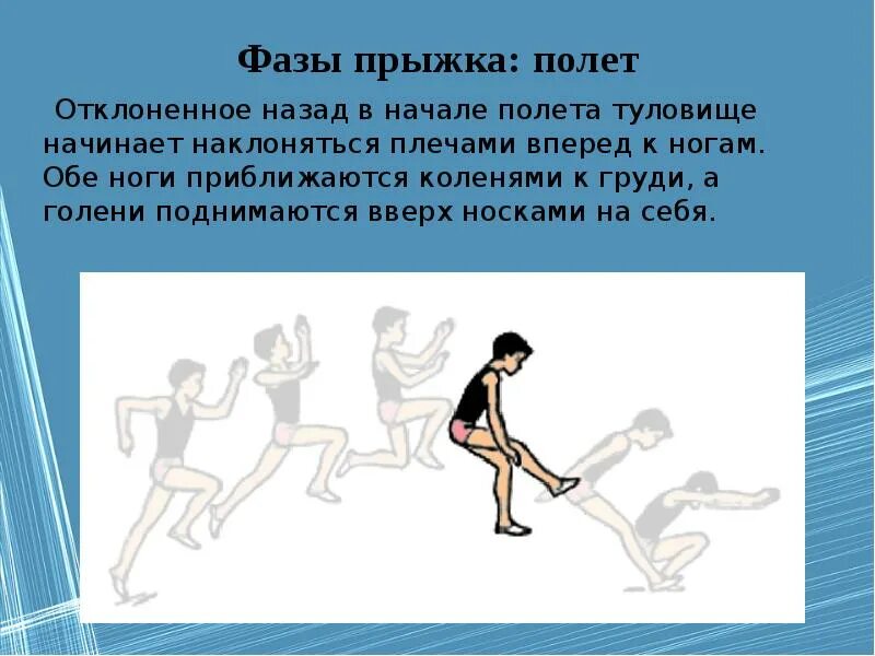 Главная фаза в технике прыжка в длину. Фазы прыжка. Фазы прыжка в длину. Фазы прыжка рисунок. Фазы безопорных прыжков.