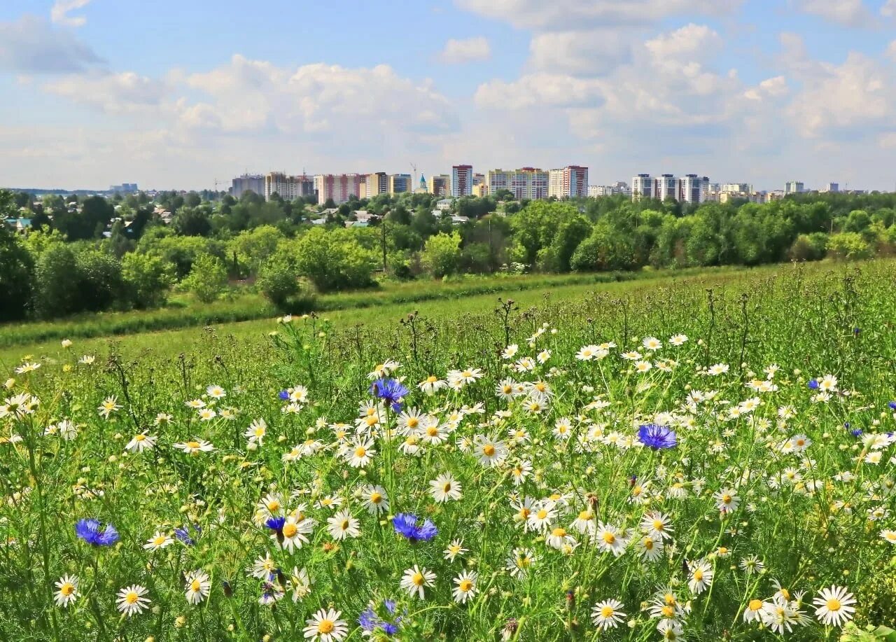 Город киров летом