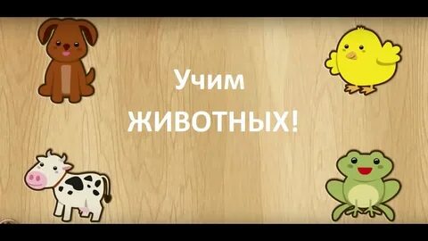 Животные для детей видео развивающее 4