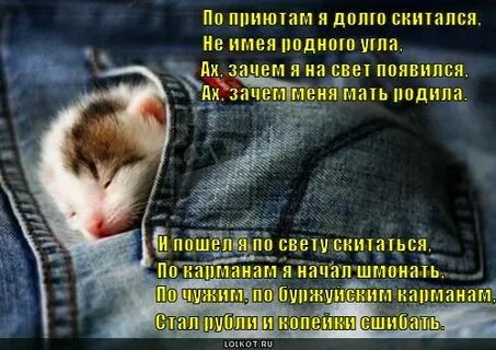 Ах зачем я на свет появился текст