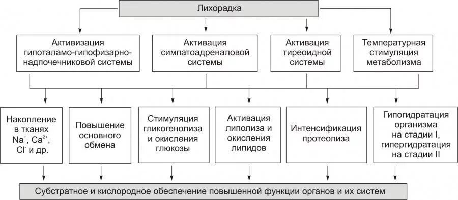 Предоставление налоговых льгот является. Стадии развития лихорадки таблица. виды налоговых льгот таблица. обменные процессы при лихорадке.