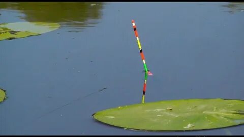 How to Put a Bobber on a Fishing Line: 11 Tips to Setup