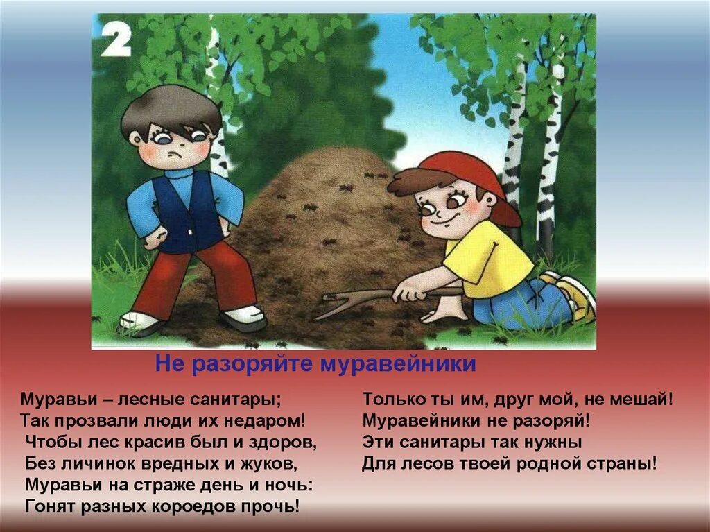 Рассказ как вести себя в лесу. Поведение в лесу для детей. Как вести себя в лесу. Правила поведения в лесу. Нельзя вести себя в лесу.