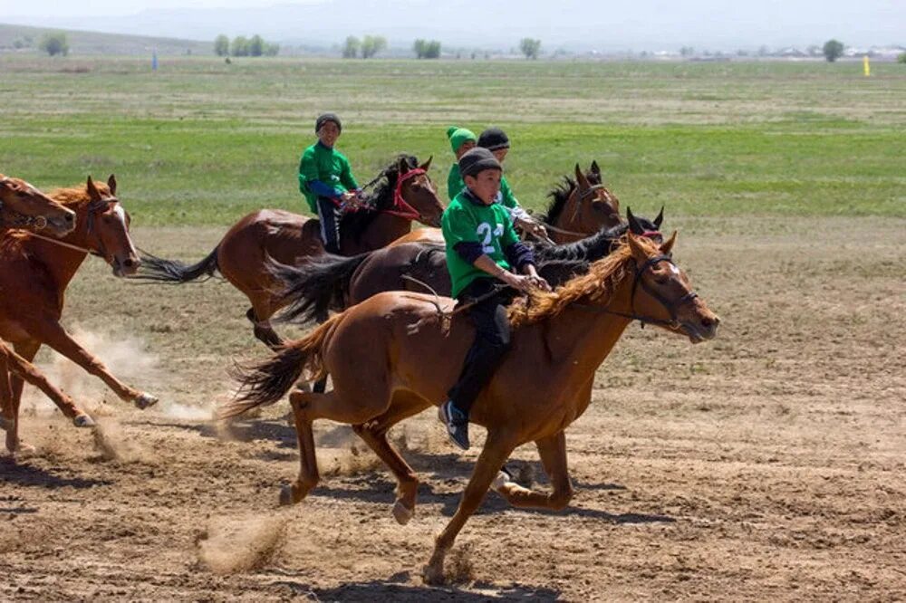 Традиции казахов связанные с лошадьми. Аламан байга скачки. Аламан байге в Казахстане. Байга Джайляу Казахстан. Байга у башкир.