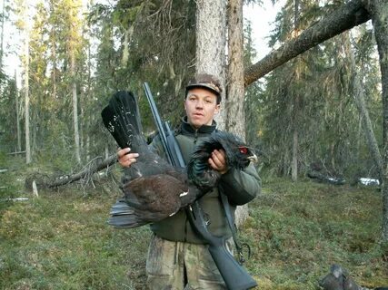 Гусь в архангельском