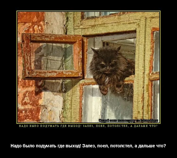 Надо подумать. Картинка подумай еще для детей. Подумать и о том где. Паузы в жизни цитаты. Умное лицо.