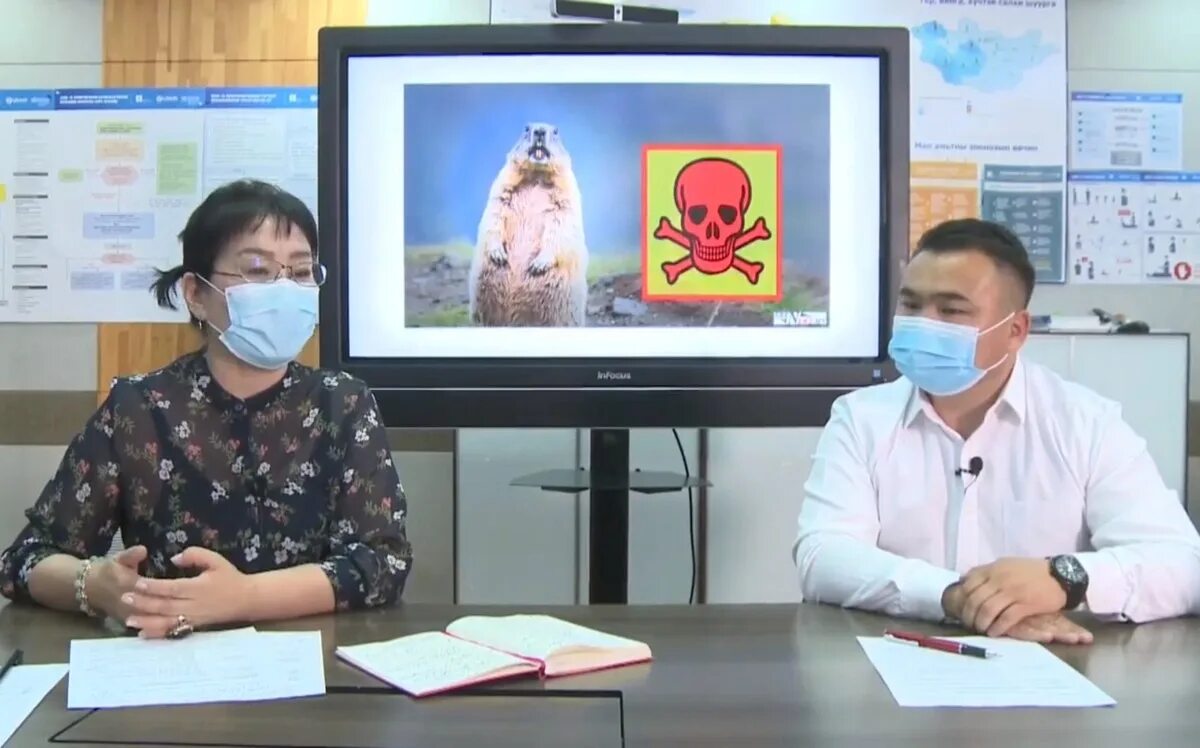 Бубонная чума в монголии. Чума бубонная карантин монголия. Чума 2021. Чума 2021. Здравоохранение в китае.