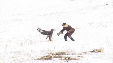 HD порно (BD сапасы)