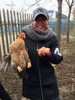 Ловить кур