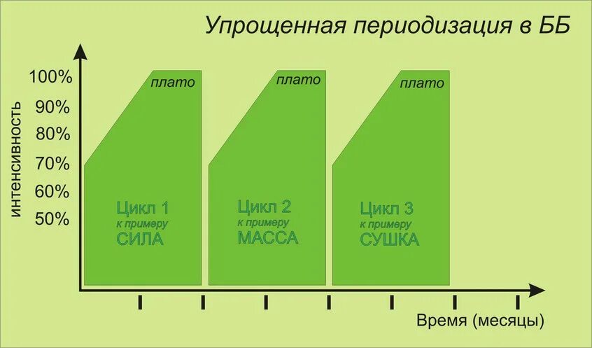 Линейная периодизация в бодибилдинге. Тренировочные циклы в бодибилдинге. Циклирование нагрузок в бодибилдинге схема. Периодизация тренировок.