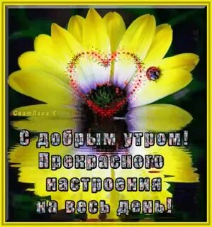 Доброго дня хорошего настроения и здоровья крепкого