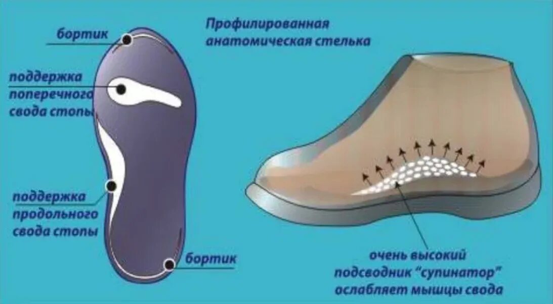 Как должна выглядеть обувь Как пишется кроссовки: найдено 80 изображений