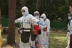 Эпидемиологическая разведка