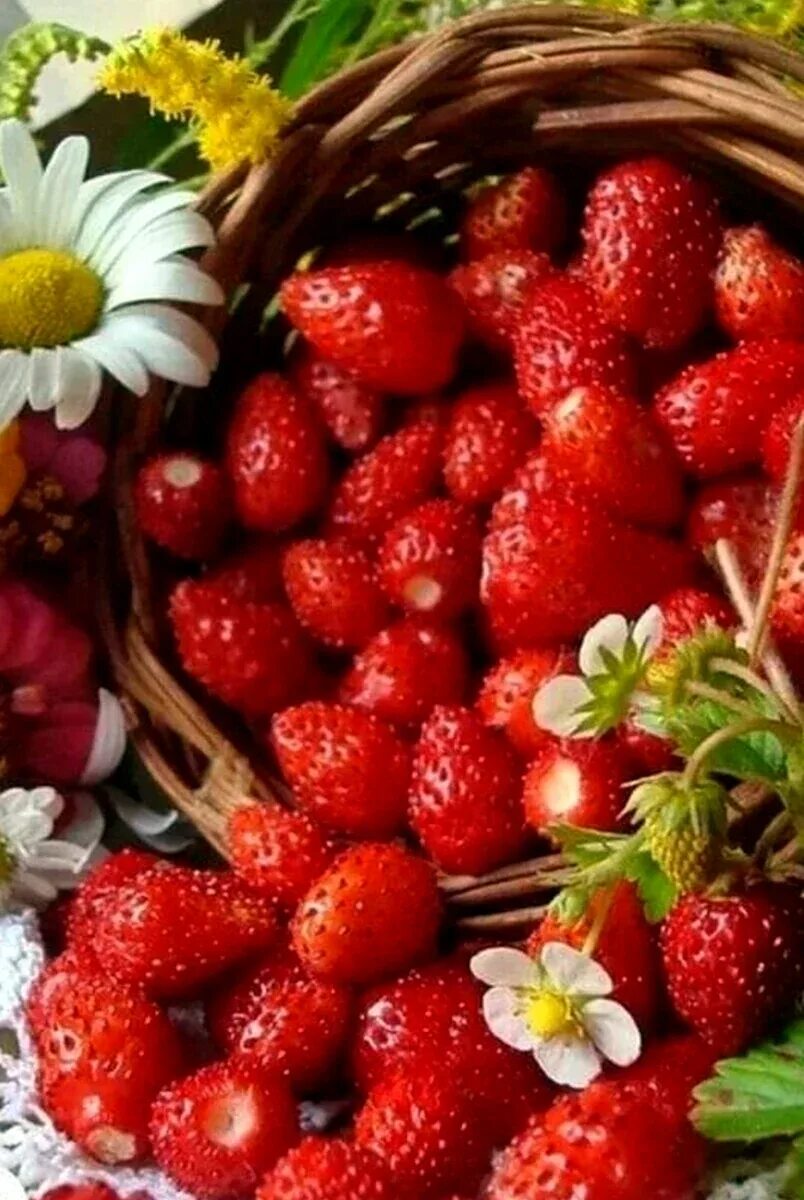 Лето ягоды вкусное. Лето ягоды вкусное. Ягоды летом. Красивые ягоды. Красивые ягоды.