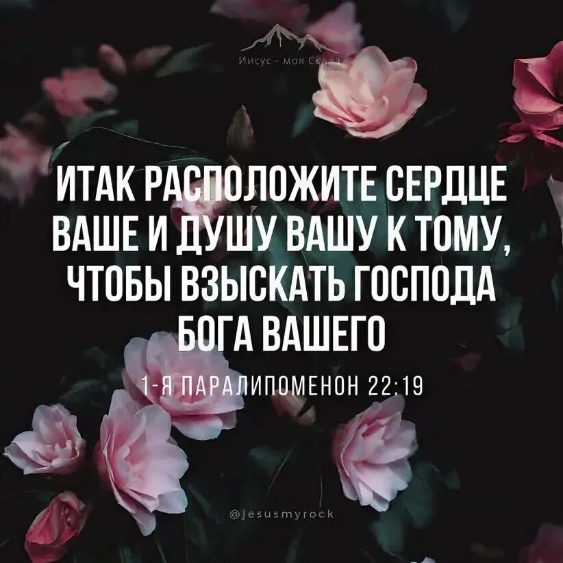 Жизнь дается богом это твердо знай