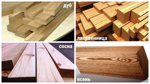 Дуб лиственница