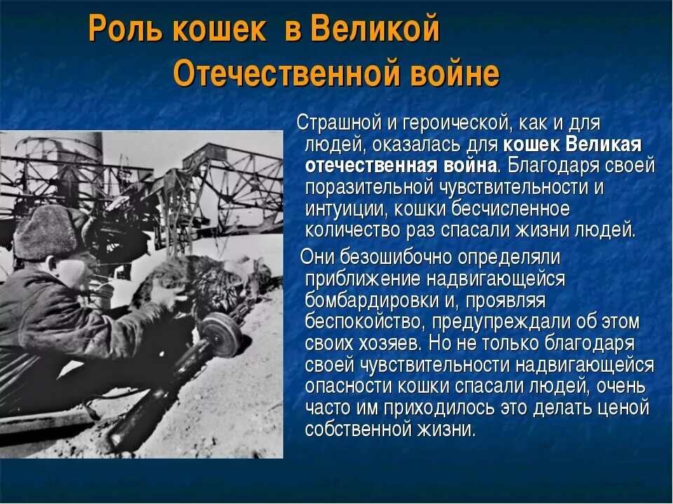 Какие есть военные рассказы. Факты о Великой Отечественной войне. Удивительные факты о войне. Интересные факты о ВОВ. Интересные факты о Великой Отечественной.