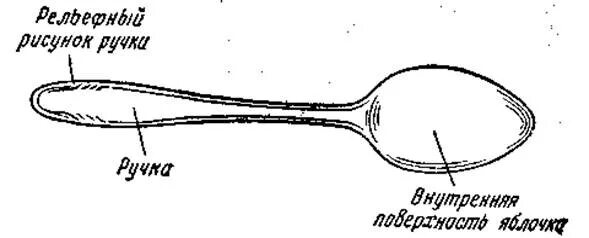 Части ложки столовой. Части ложки названия. Строение ложки. Конструкция ложки. Составные части деревянной ложки.