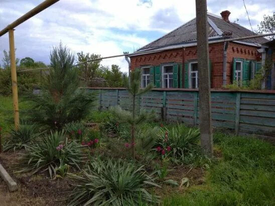 Ст темижбекская краснодарского края. Храм ст темижбекская. Кубань темижбекская берега. Погода в темижбекском краснодарский край. Темижбекский совхоз.