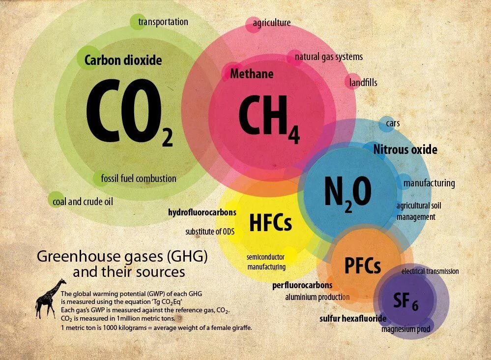 Газы co и co2