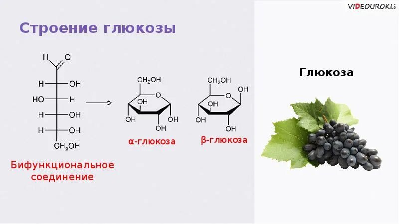 Глюкоза моносахарид. Углеводы моносахариды Глюкоза строение. Углеводы представитель моносахаридов Глюкоза. Хим строение моносахаридов Глюкоза.