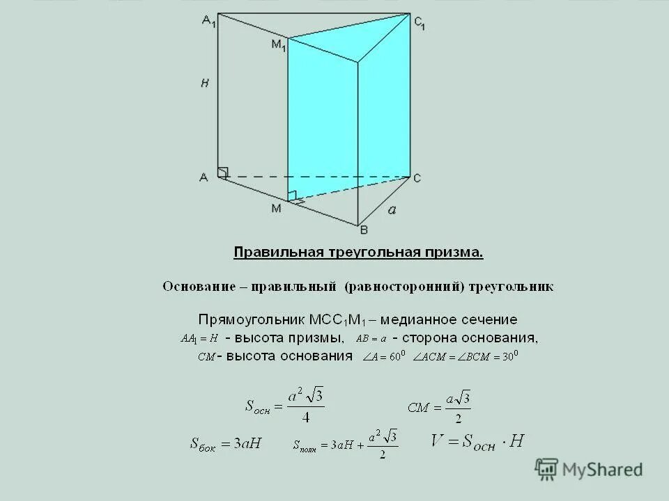 определение призмы тест