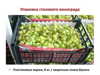 Коробка с виноградом в 4 раза
