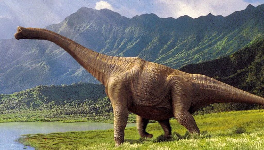 Диплодок и Апатозавр. Травоядные динозавры Диплодок. Диплодок динозавр. Брахиозавр парк Юрского периода.