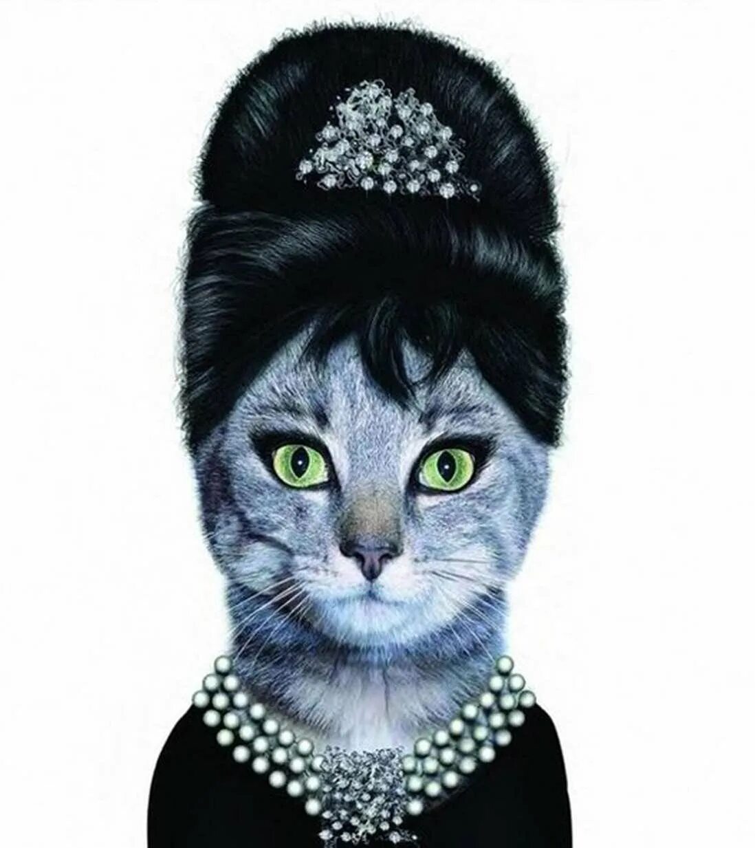 Стильная кошка. Кошка Одри Хепберн. Одри Хэпберн с кошкой. Модная кошка. Элегантные коты.