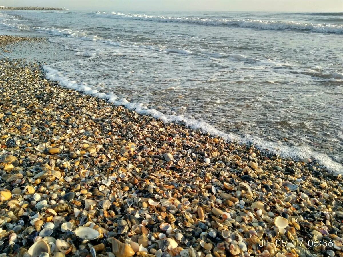 Есть ли море в дагестане и какое. Каспийское море махачкала. дагестан побережье каспийского моря. берег каспийского моря избербаш. каспийское море лагань.
