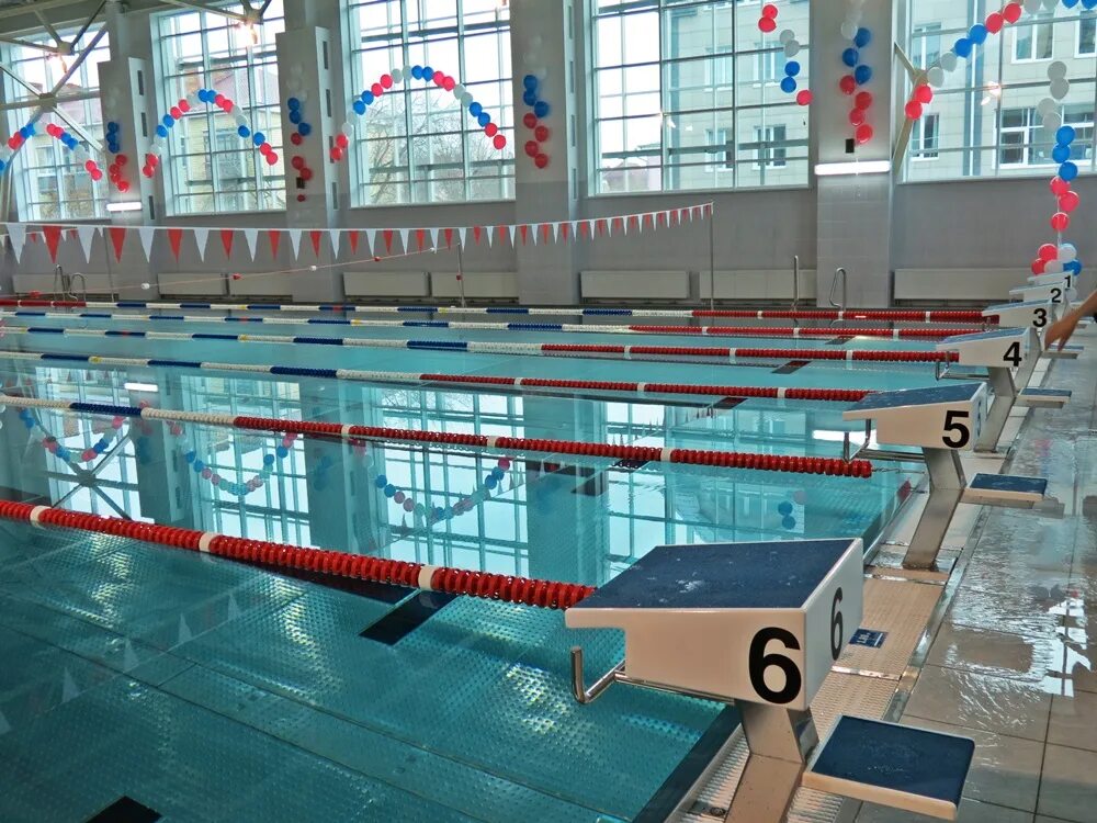 Бассейны работа барнаул. Бассейн олимпийский барнаул. Бассейн адриатика барнаул. Обь барнаул бассейн летний. Бассейн амфибия барнаул.