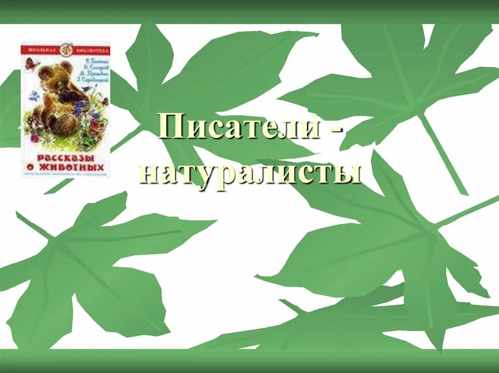 Писатели натуралисты для детей. Писатели натуралисты Заголовок. Урок внеклассного чтения в.в.Бианки. Писатели натуралисты 4 класс. Имена натуралистов