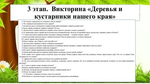 Этап викторины