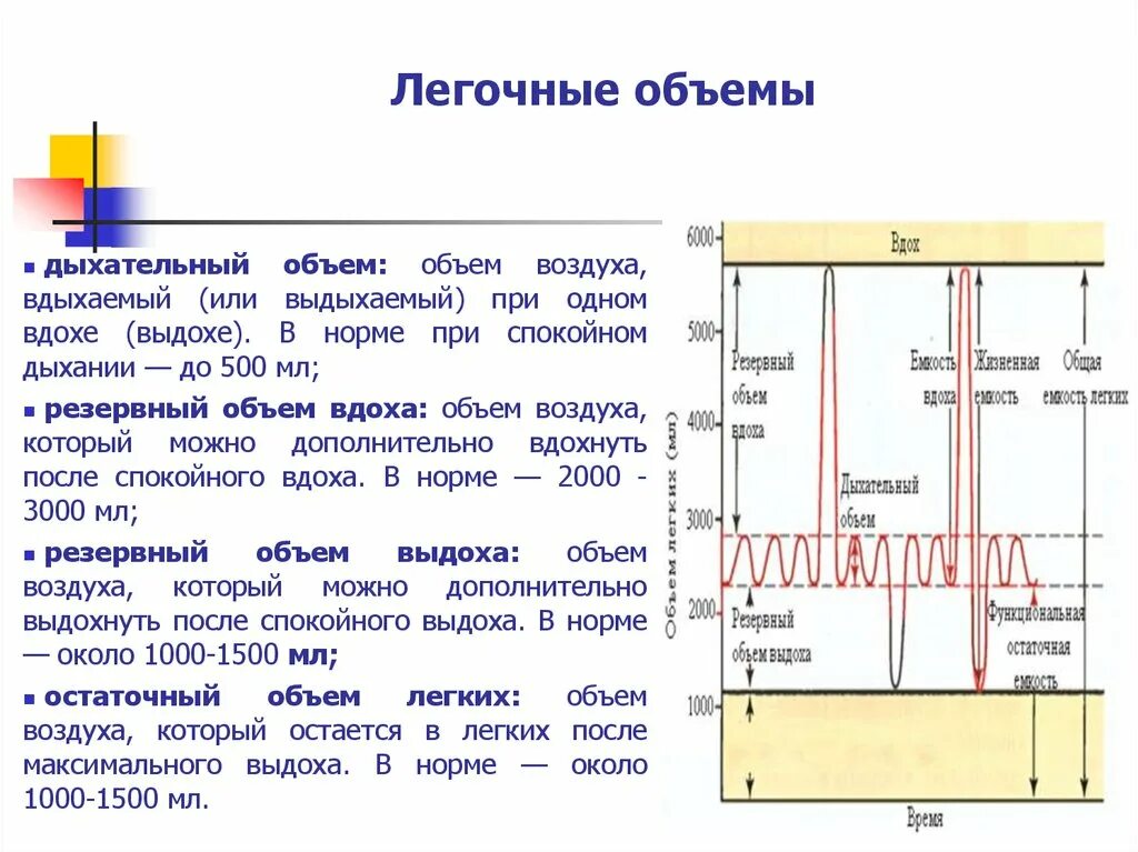 Функциональное деление емкости легких. Легочные объемы и емкости физиология. Дыхательные объемы и емкости легких. Основные легочные объемы и емкости. Физиологические нормы лёгочных объемов.