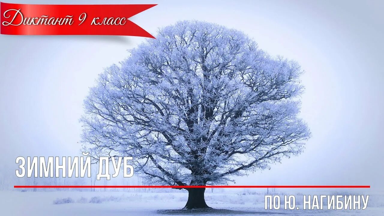 Диктант по русскому дуб. Дуб диктант 5 класс дуб. Диктант с грамматическим заданием 1 класс. Диктант для 9 классников. Диктант дуб 9 класс.