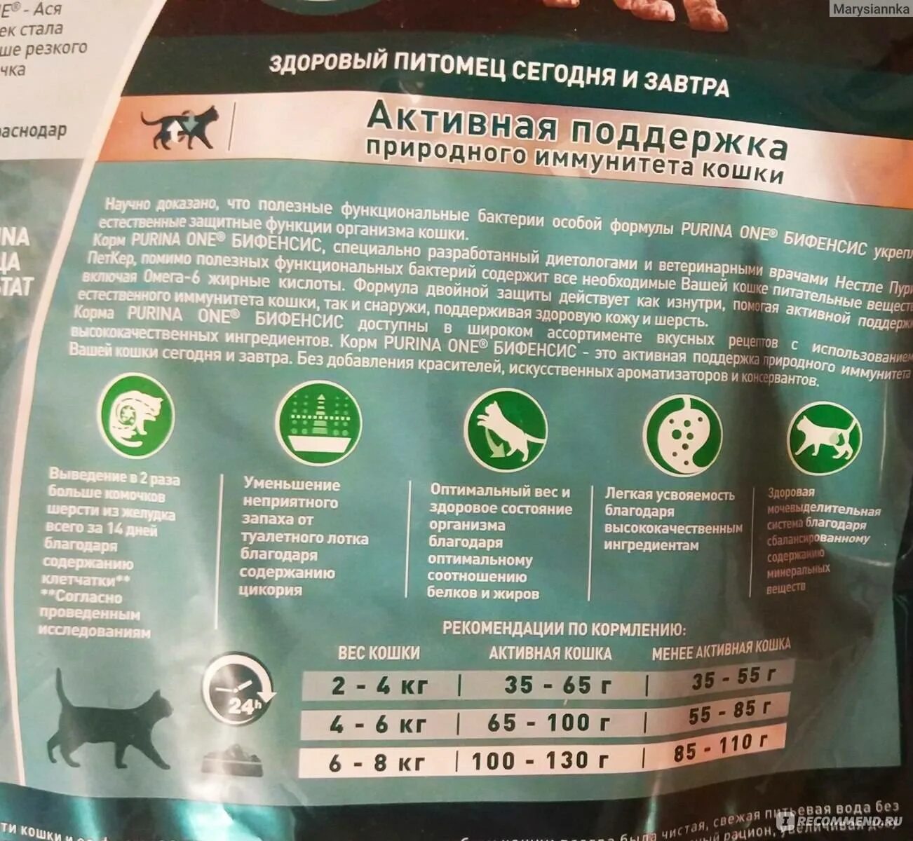 С какого возраста можно сухой корм. Корм purina one норма корма для собак. таблица корм purina one норма корма для собак. норма сухого корма для котят пурина ван. норма корма грандин для котят.