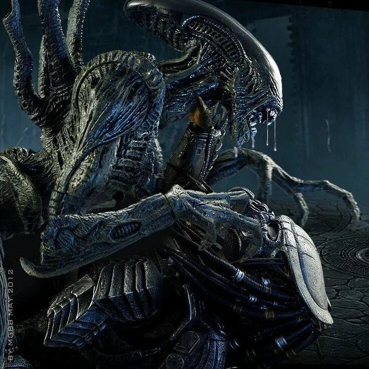 Чужой против хищника Кельтик. Aliens versus Predator 2020.