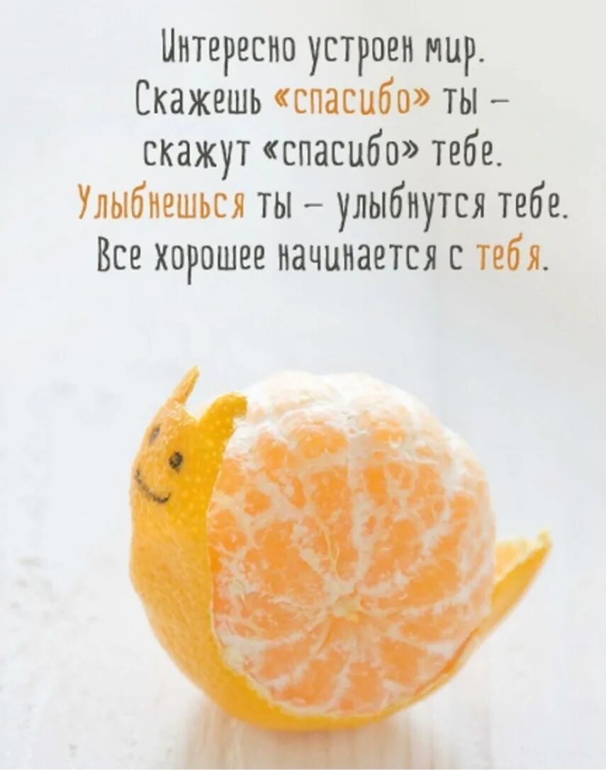 Цитата дня прикольная